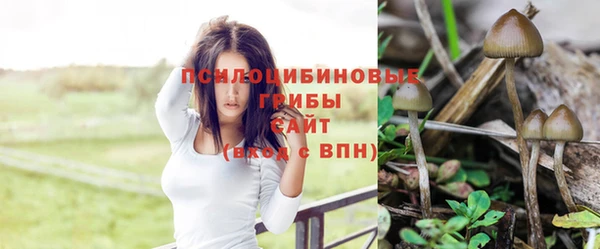 соль ск Медвежьегорск