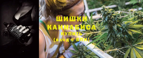 соль ск Медвежьегорск