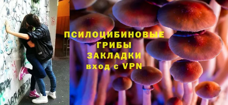 Псилоцибиновые грибы MAGIC MUSHROOMS  это официальный сайт  Нюрба  даркнет сайт 