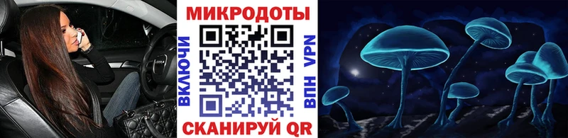 Псилоцибиновые грибы Psilocybe  купить наркоту  Нюрба 